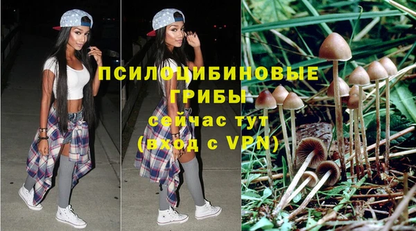 прущий лед Балахна