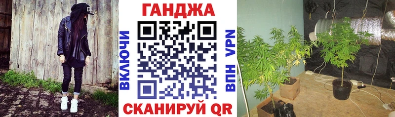 Конопля план  Сертолово 